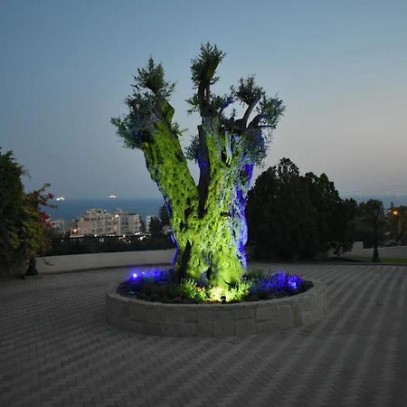 Olive Tree Apartments 利马索尔 外观 照片