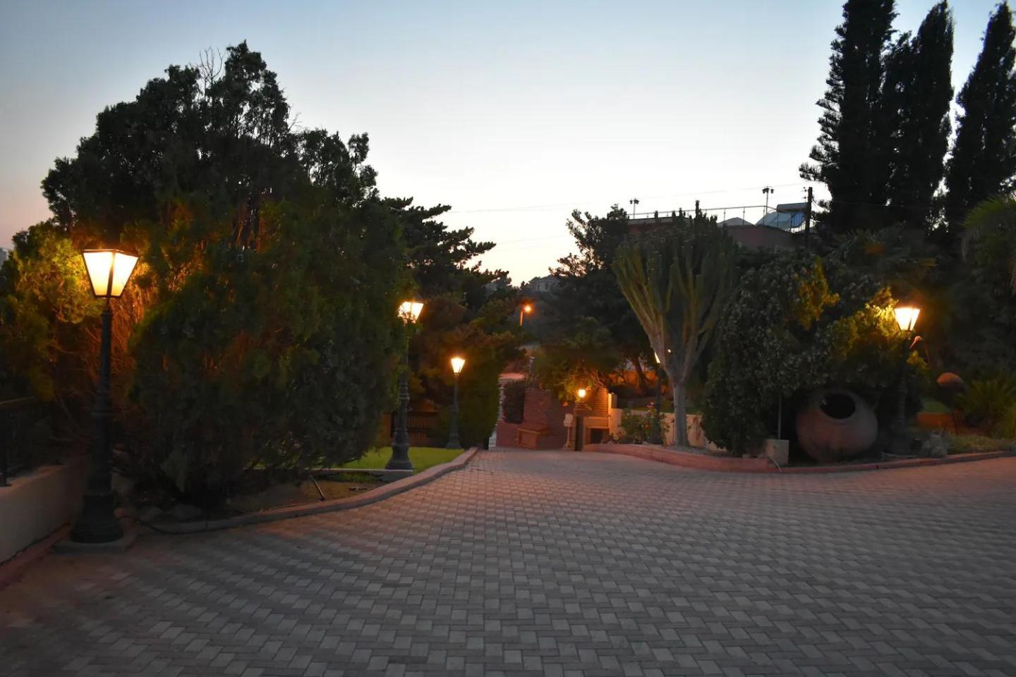 Olive Tree Apartments 利马索尔 外观 照片