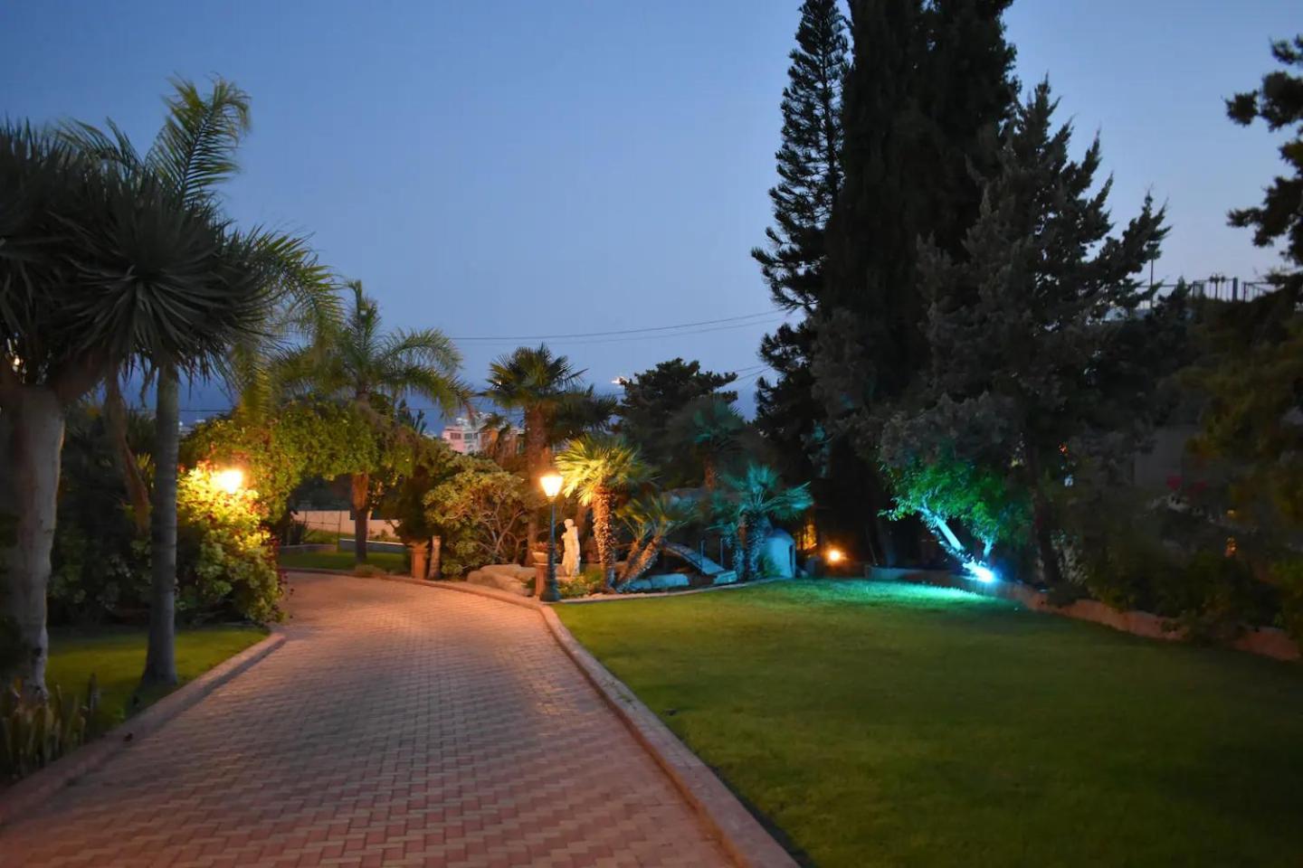 Olive Tree Apartments 利马索尔 外观 照片