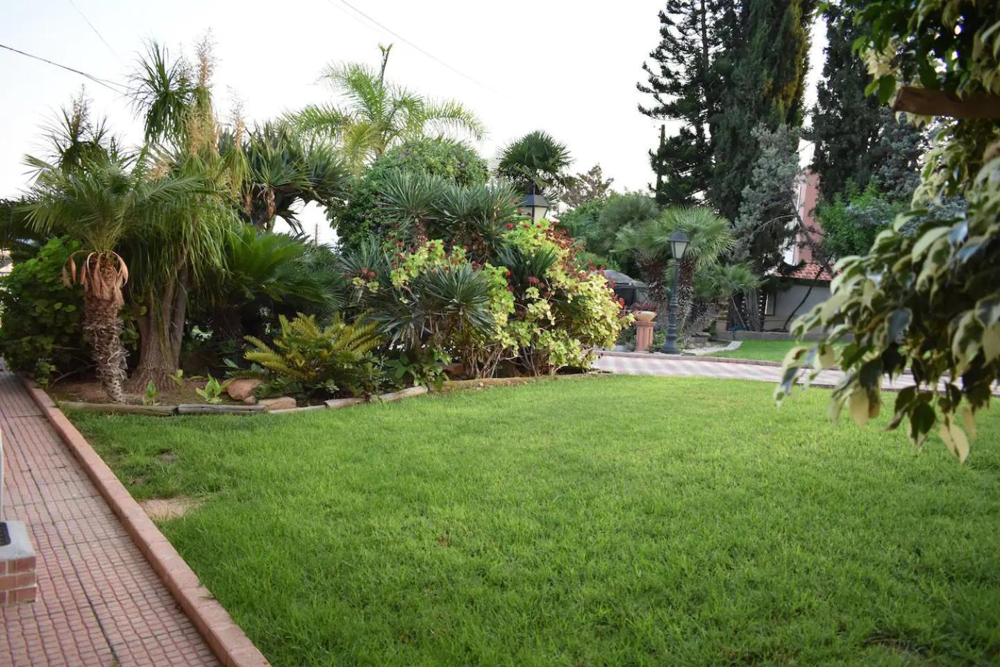 Olive Tree Apartments 利马索尔 外观 照片