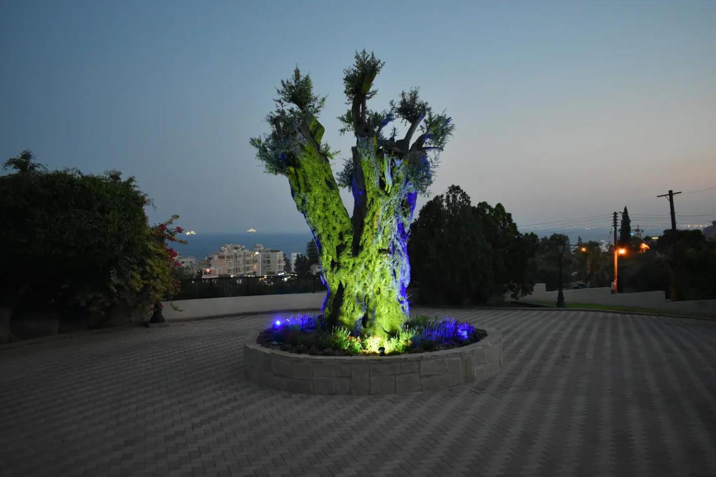 Olive Tree Apartments 利马索尔 外观 照片